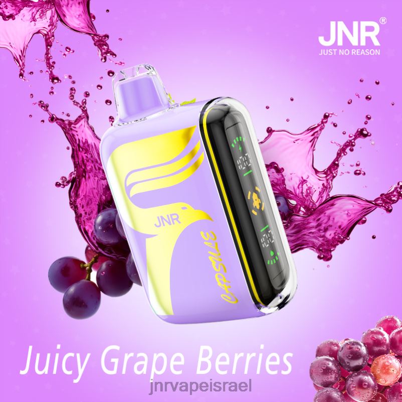 8VXZ863 JNR כּמוּסָה גרגרי ענבים עסיסיים | JNR VAPE PODS