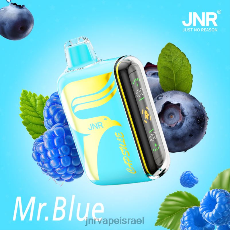 8VXZ864 JNR כּמוּסָה mr.blue | JNR VAPE NICOTINE CONTENT