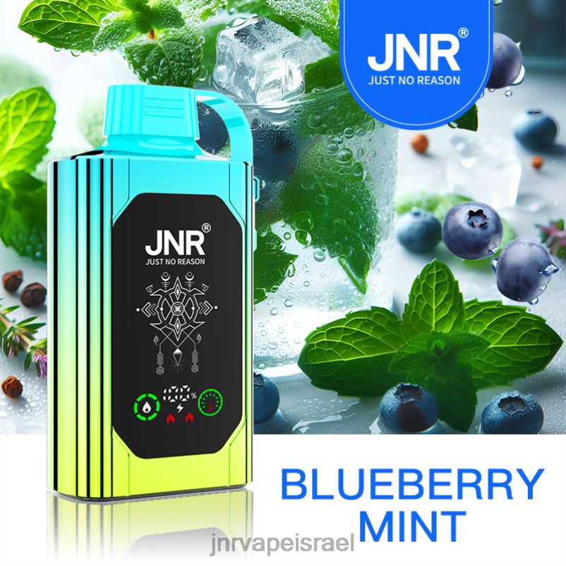 8VXZ888 JNR SHISHA קופסא אוכמניות מנטה | JNR VAPE REVIEW