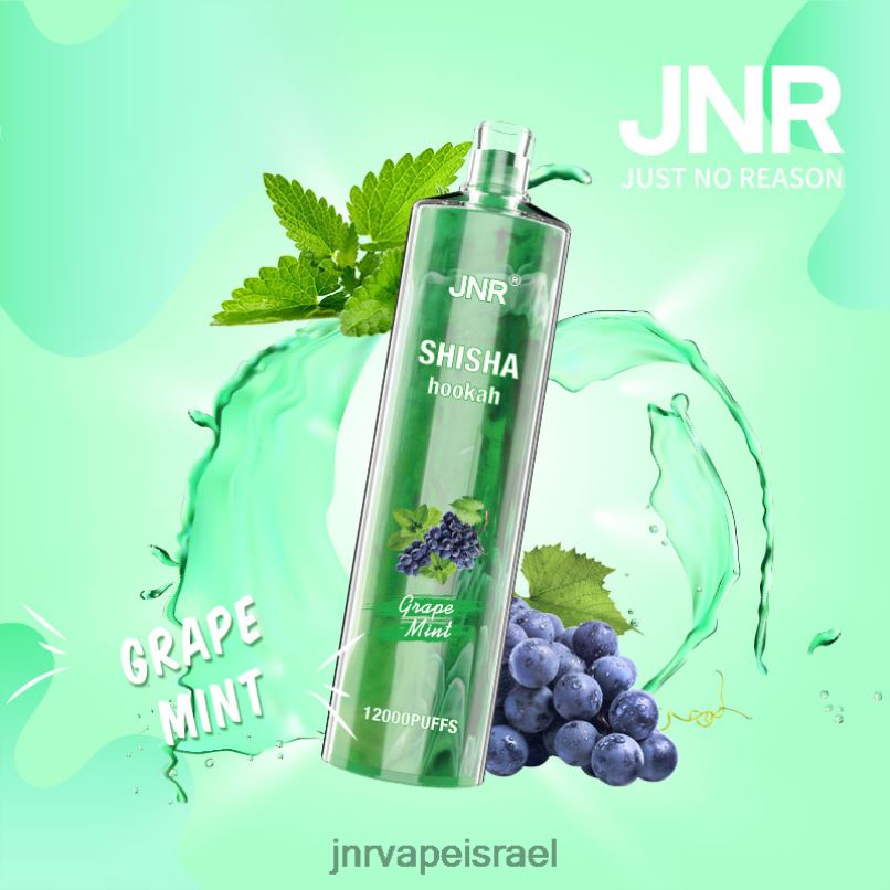 JNR VAPE FLAVOURS | jnr שישה מנטה ענבים X0D02171
