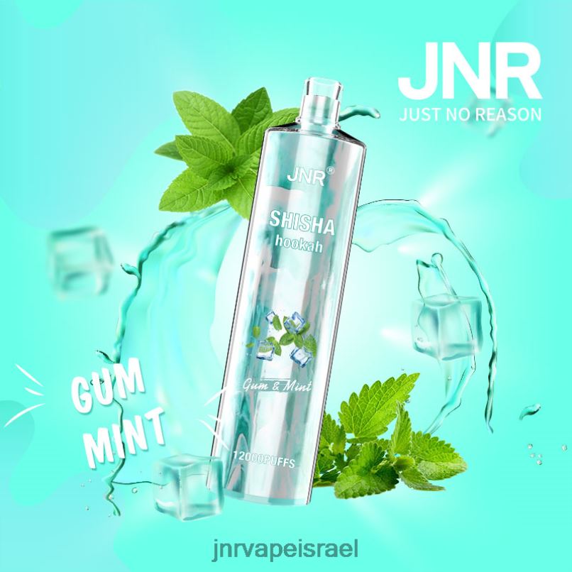 JNR VAPE PODS | jnr שישה מסטיק ונענע X0D02164
